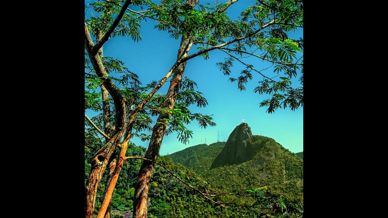 Carlos Henrique Brasil @chbrasil (6f)