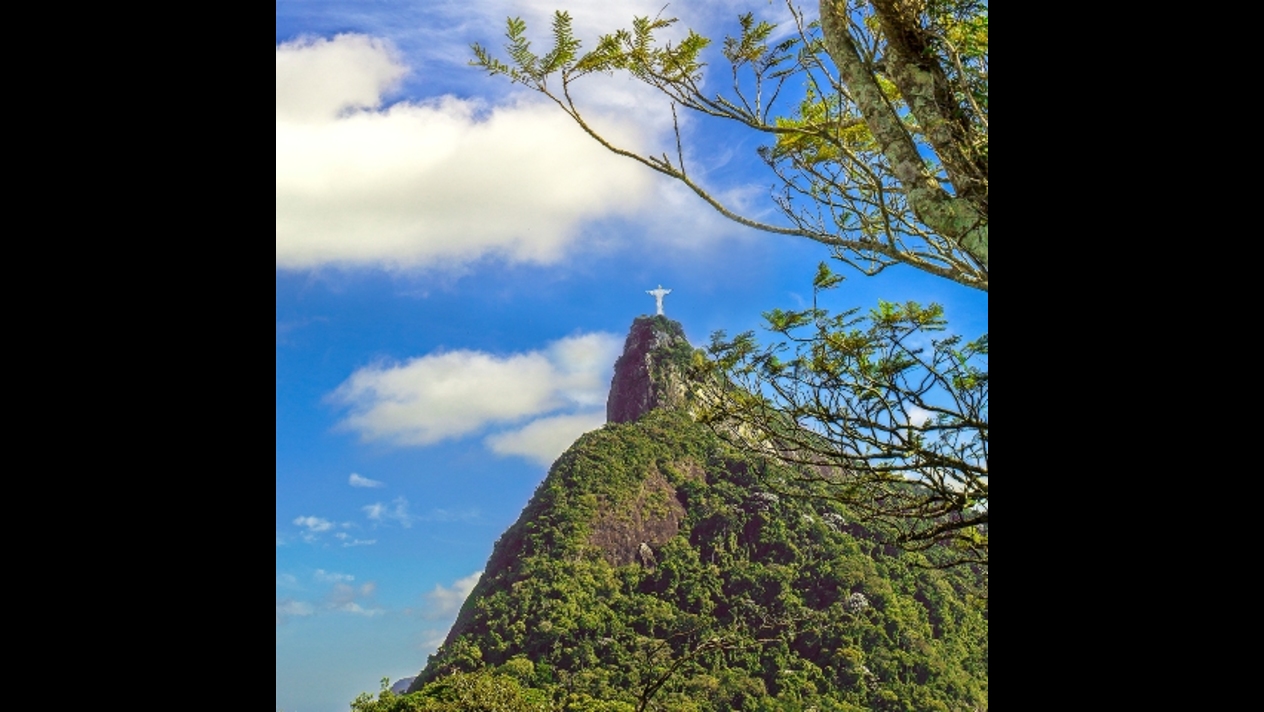Carlos Henrique Brasil @chbrasil (2b)